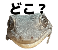 839933434