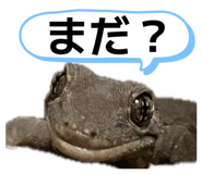 839933435