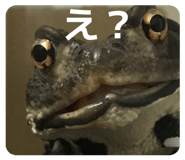 839933437