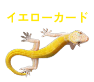 839933456