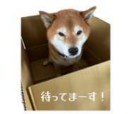 839934052