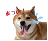 839934054