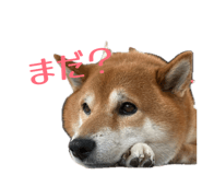 839934055