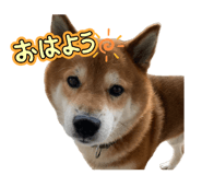 839934057