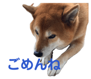 839934058