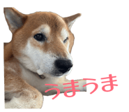 839934065