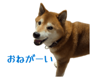 839934071