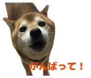 839934072
