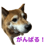 839934073
