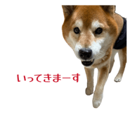 839934074