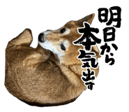 839934077