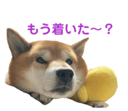 839934079