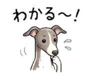 839937147