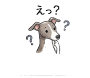 839937157
