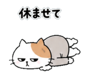 839937543