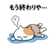 839937554