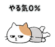 839937564