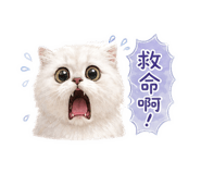 839937632