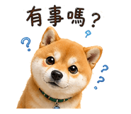839937836