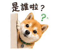 839937837
