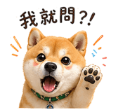 839937838
