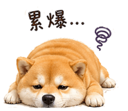 839937842
