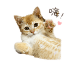 839938345