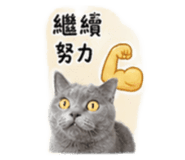 839938569