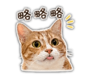 839939579