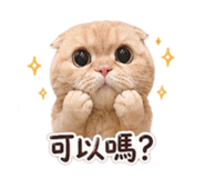 839939622