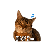 839939880