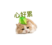 839939979