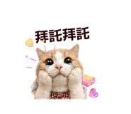 839939981