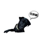 839940706