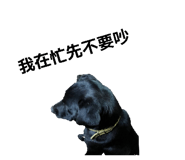 839940710