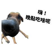 839940719