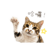 839941233