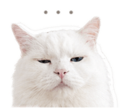 839941720