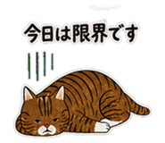 839942972