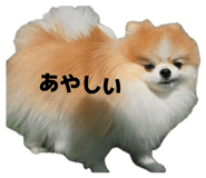 839943217