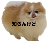 839943221
