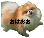 839943222