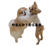 839943224