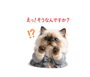 839943281