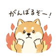 839943342