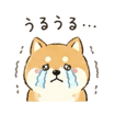 839943348