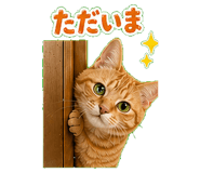 839943416
