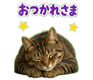 839943421