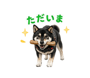 839943681