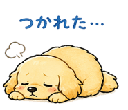 839943876